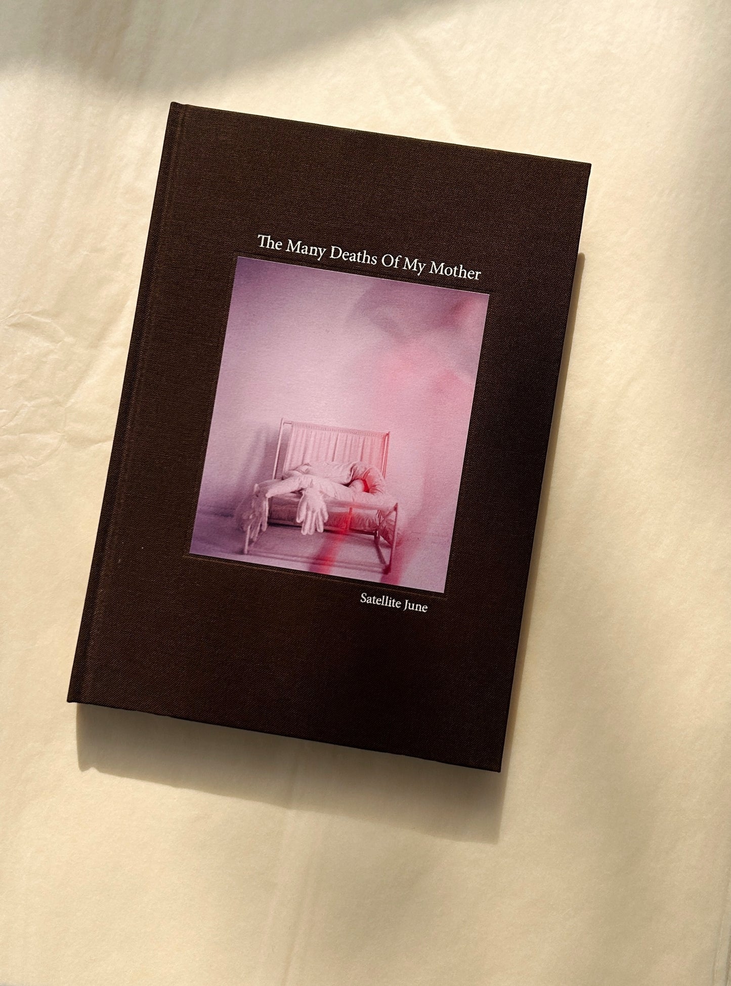 The Many Deaths Of My Mother - Book