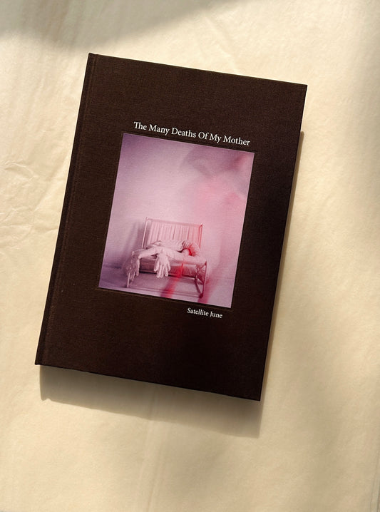 The Many Deaths Of My Mother - Book